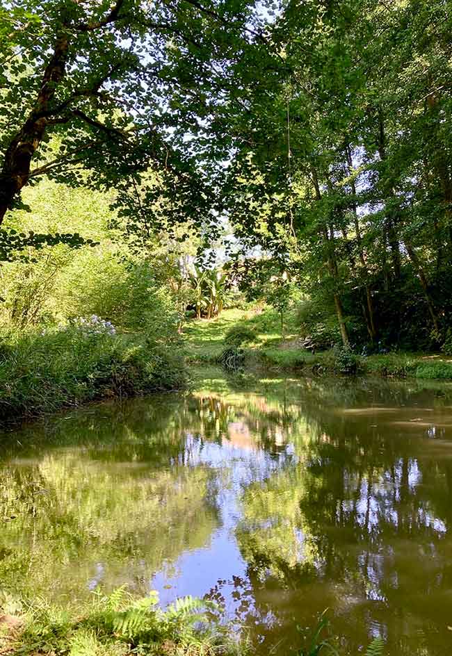 etang-saubrigues---landes-nature